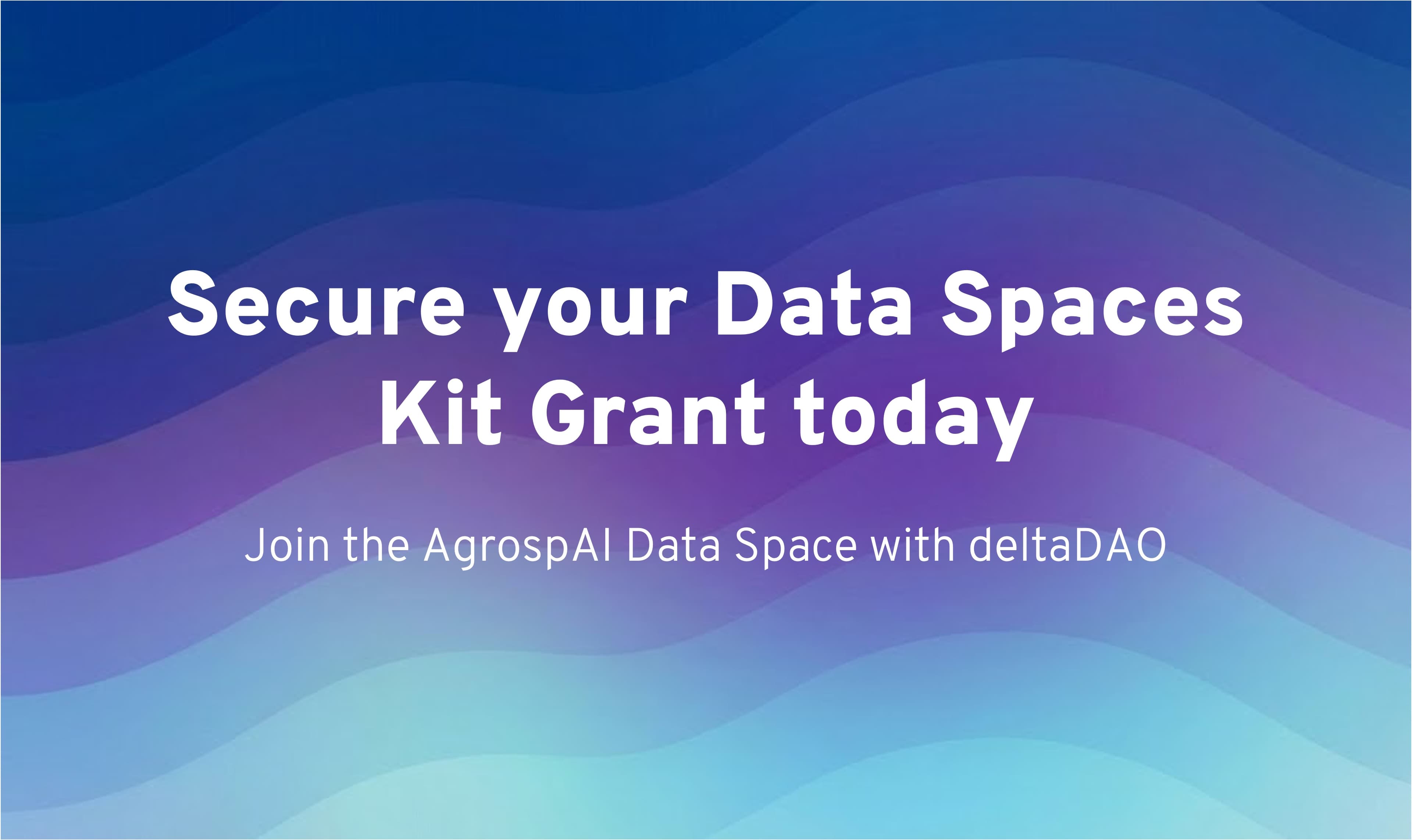 Secure your DSK grant